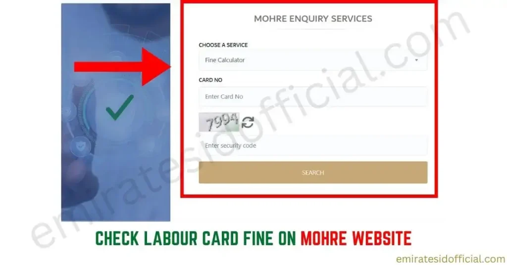 Check Labour Card Fine on MOHRE Website