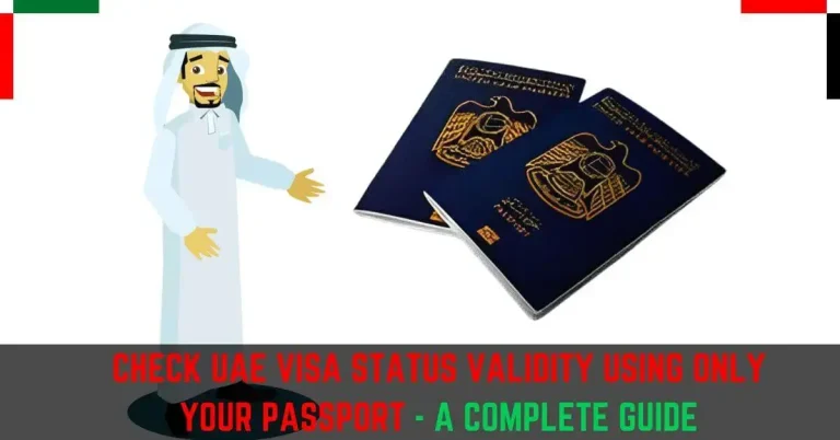 Check UAE Visa Status Validity Using Your Passport Only 2024