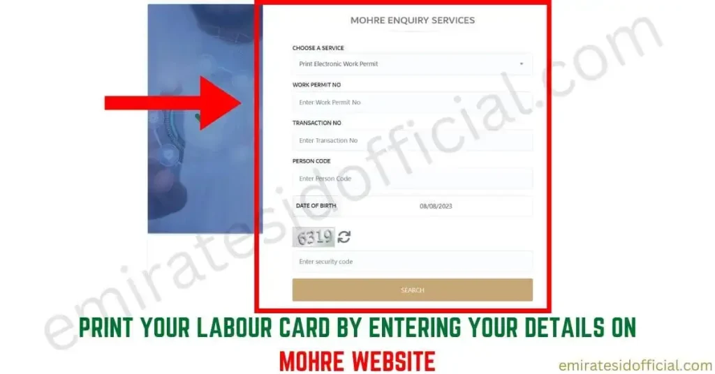 Print Your Labour Card By Entering your Details on MOHRE Website
