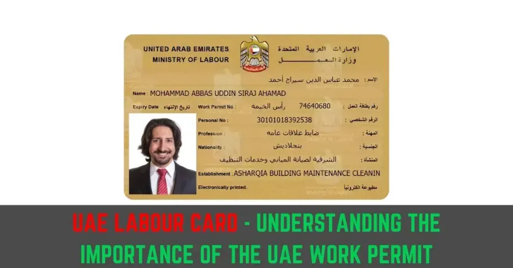 UAE Labour Card Understanding The importance of the UAE Work Permit