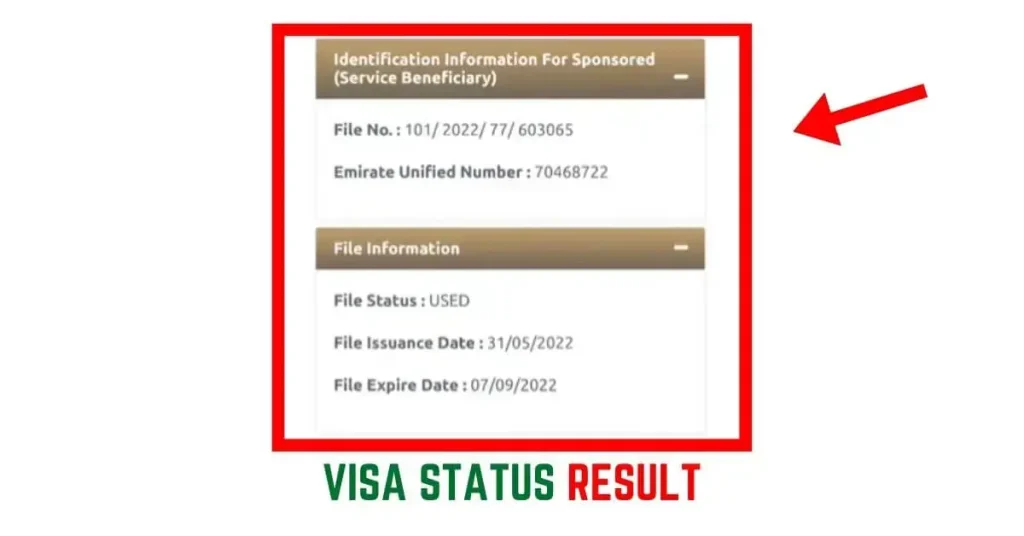 Visa Status Result