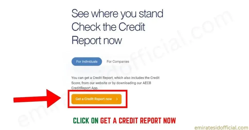 Click on Get a Credit Report Now