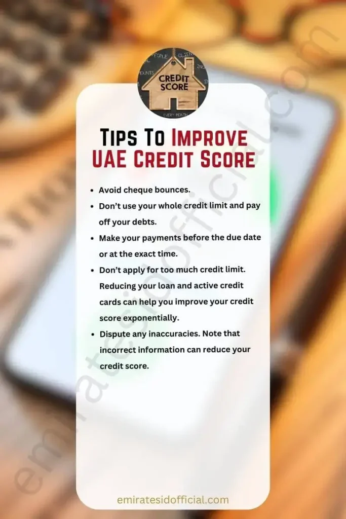Tips To Improve UAE Credit Score