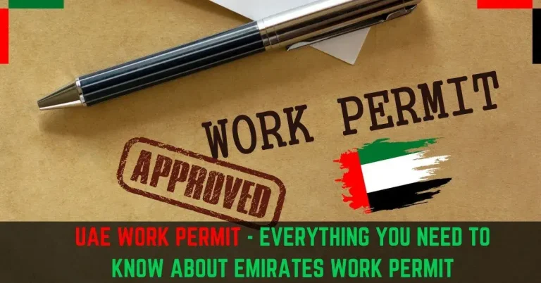 UAE Work Permit 2024: A Guide To Get A Work Permit in UAE