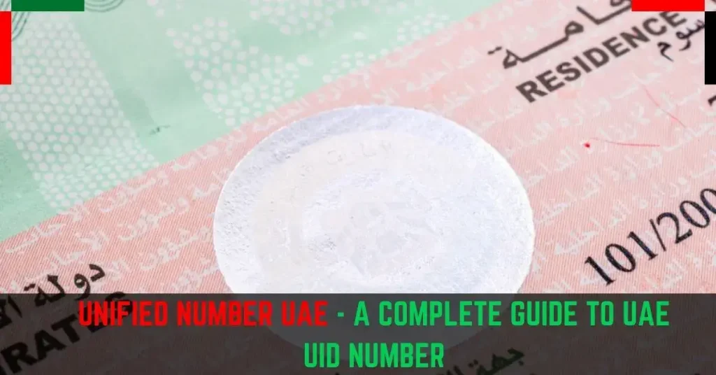 Unified Number UAE A Complete Guide To UAE UID Number
